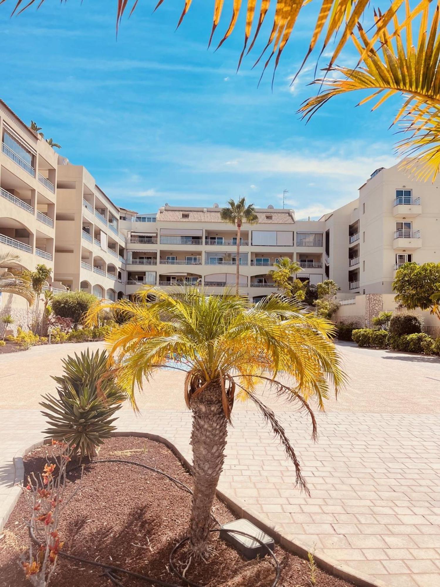 Palm Mar Penthouse Duplex Διαμέρισμα Εξωτερικό φωτογραφία