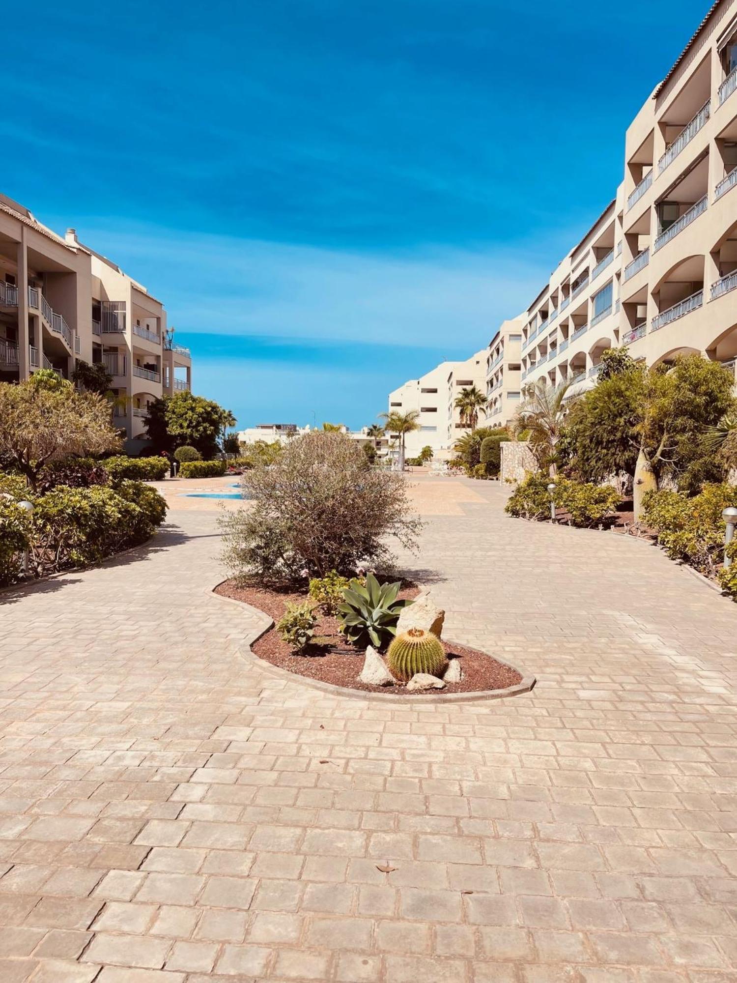 Palm Mar Penthouse Duplex Διαμέρισμα Εξωτερικό φωτογραφία